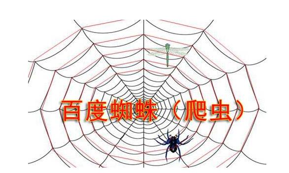 百度蜘蛛 B2B网站大全小编配图